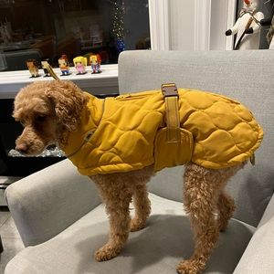 Zara Quilted Jacket for Dogs